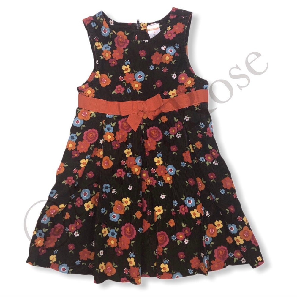 Gymboree Woodland Friends Corduroy Dress Sz 3